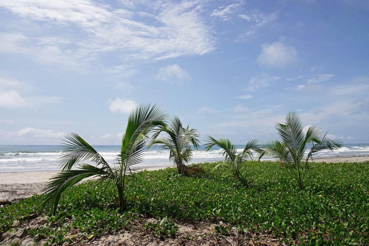 Playa Santa Teresa  Villa Picasso מראה חיצוני תמונה