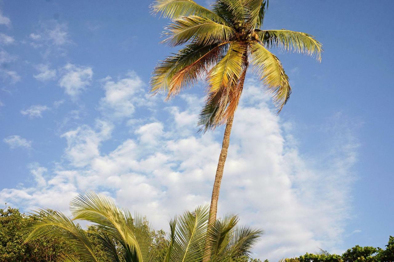 Playa Santa Teresa  Villa Picasso מראה חיצוני תמונה